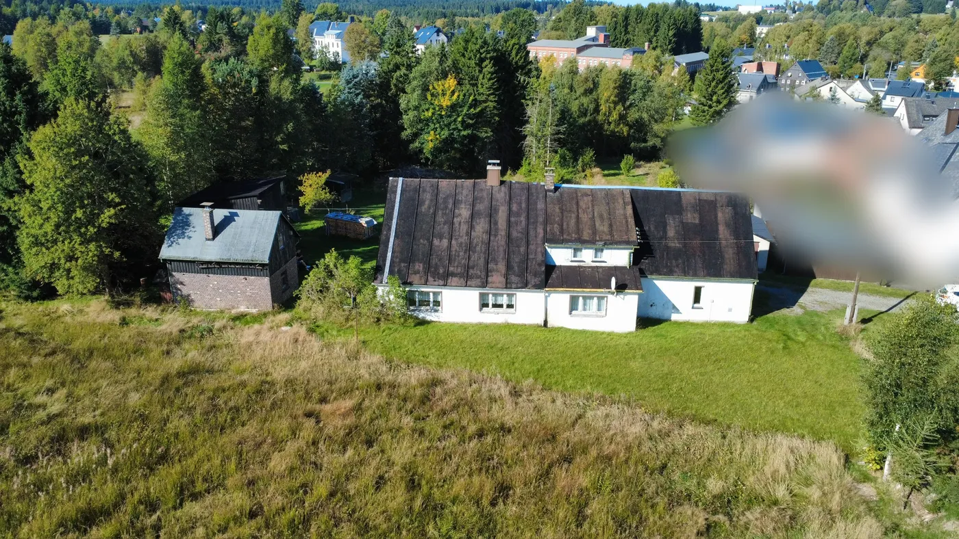 Wiese hinter dem Haus am Grundstück
